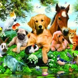 Любимые животные 🐾 Зоо Сельхоз Агро Аква Вет Бердянск Мариуполь Мелитополь Энергодар ДНР ЛНР Херсон