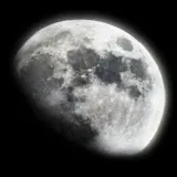 Игровые читы realbogd