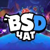 BSD | Чат