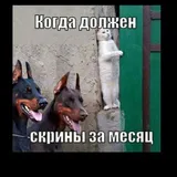 Отчеты по охоте 1