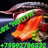 Фермерское хозяйство "Нептун" №1 🐟 ЛНР