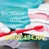 Санкт-Петербургда уз