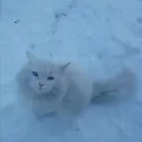 piar taim/пиар ткг (не ролок!!)