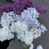 Санкт-Петербург Волгоград💗