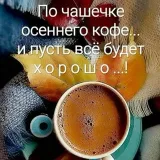 Сургут чат