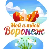 Чат Мой и твой Воронеж